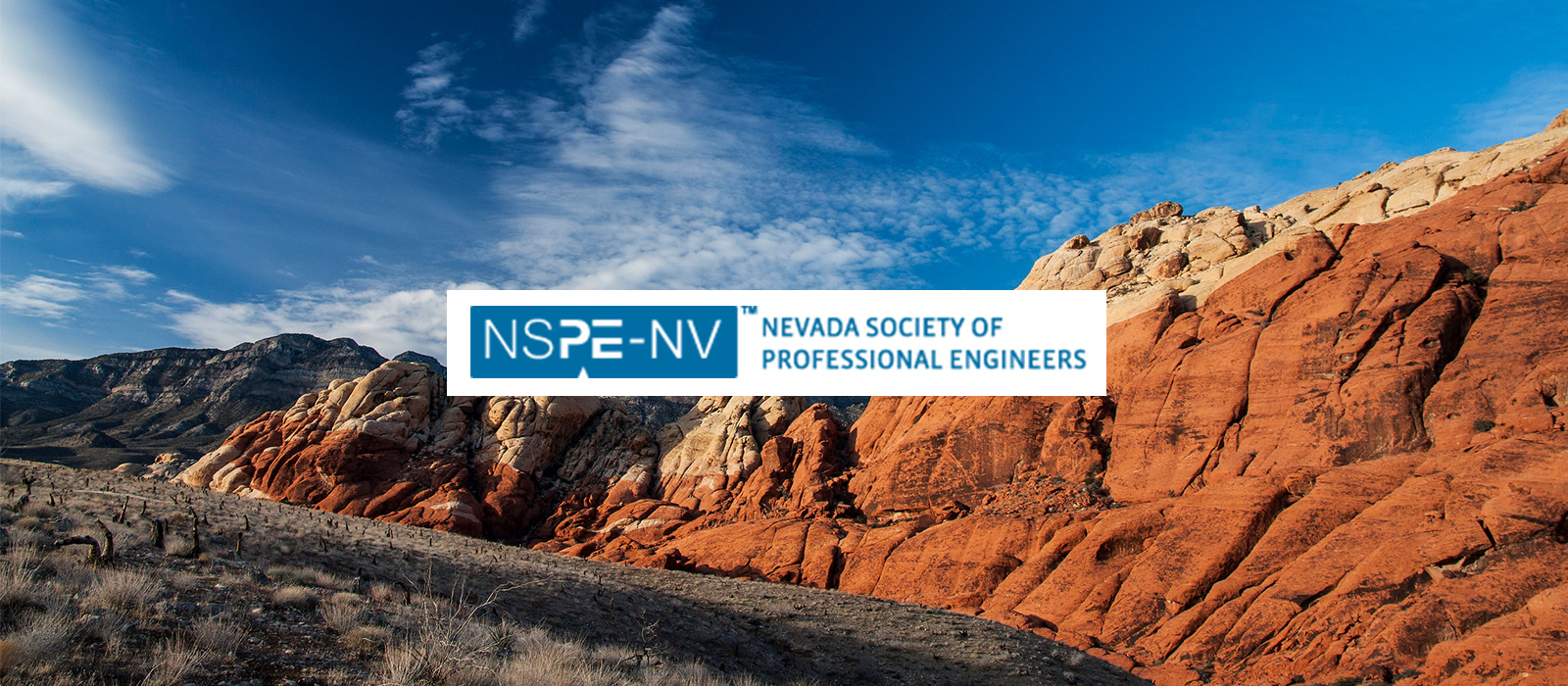 nspe-banner